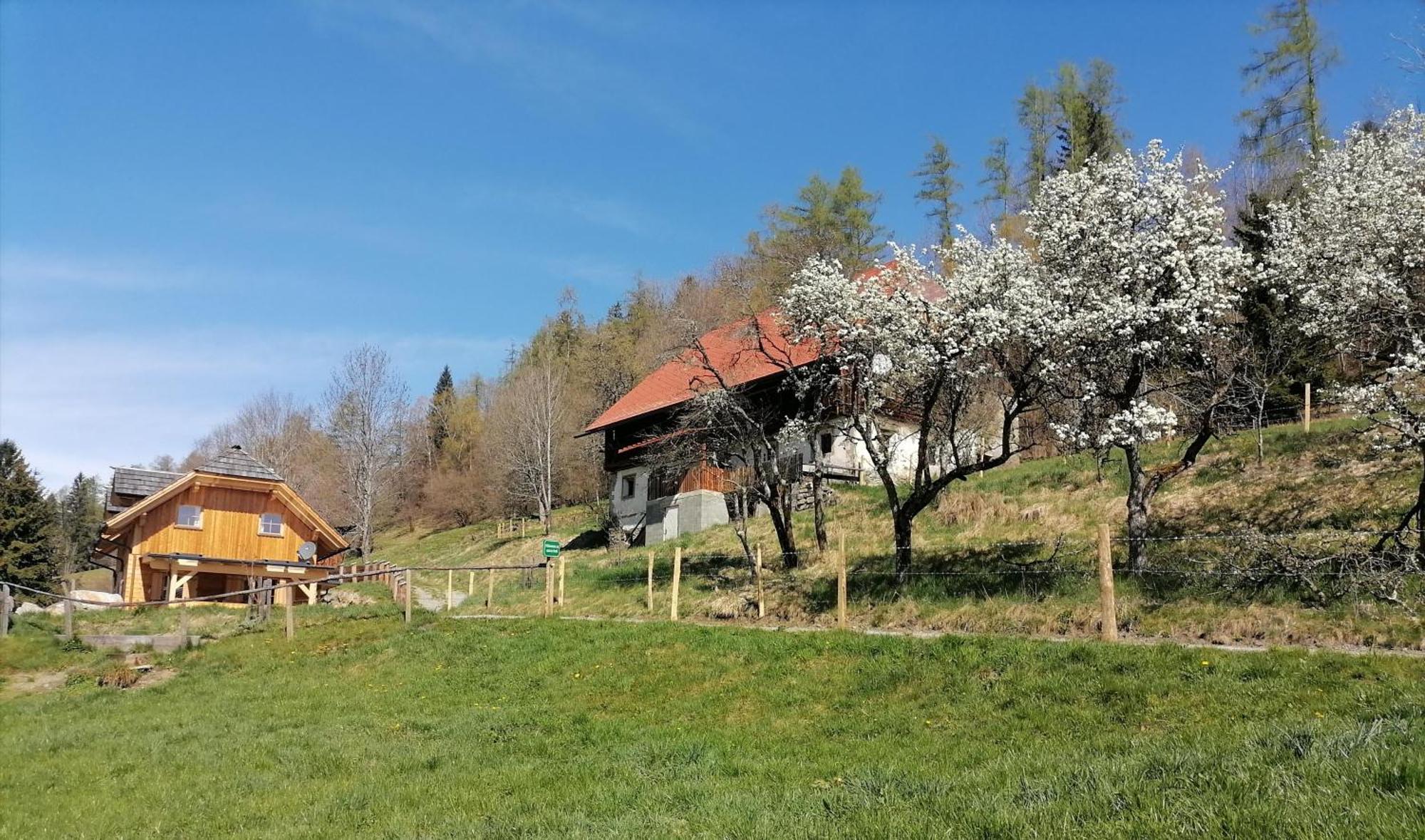 Вилла Laerchenhaus ,,Unterer Brodl" Санкт-Петер-ам-Каммерсберг Экстерьер фото
