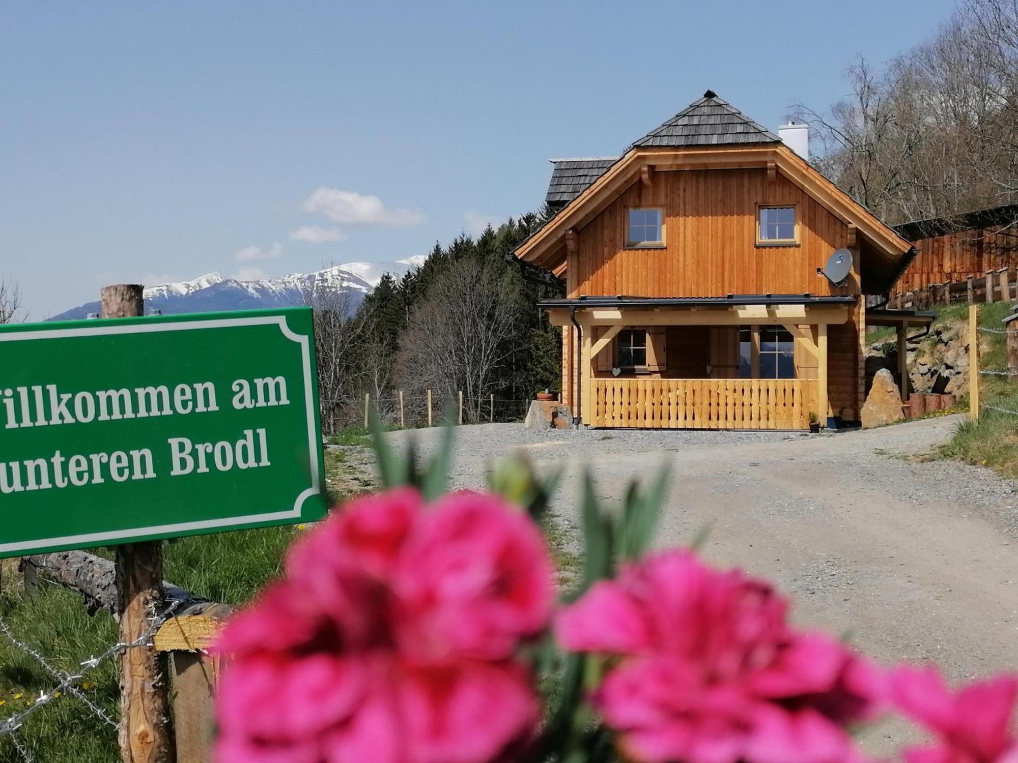Вилла Laerchenhaus ,,Unterer Brodl" Санкт-Петер-ам-Каммерсберг Экстерьер фото