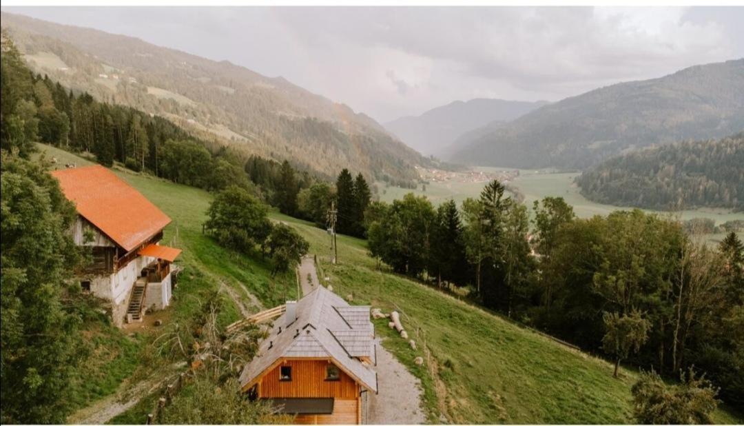Вилла Laerchenhaus ,,Unterer Brodl" Санкт-Петер-ам-Каммерсберг Экстерьер фото